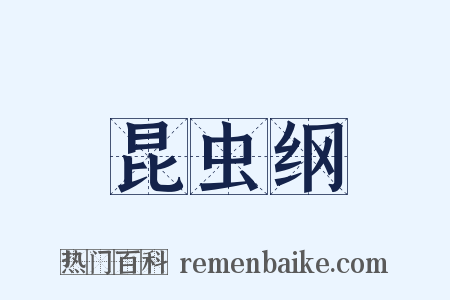 昆虫纲是什么意思的图片